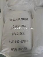 Zinc Sulphate Mon...